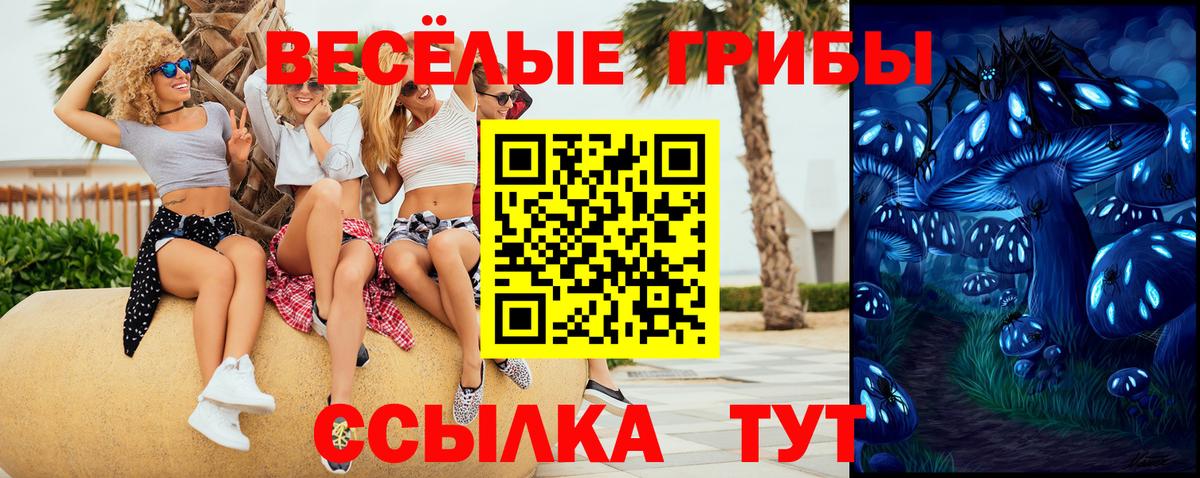Галлюциногенные грибы Psilocybine cubensis  Вход с VPN  Лабытнанги 